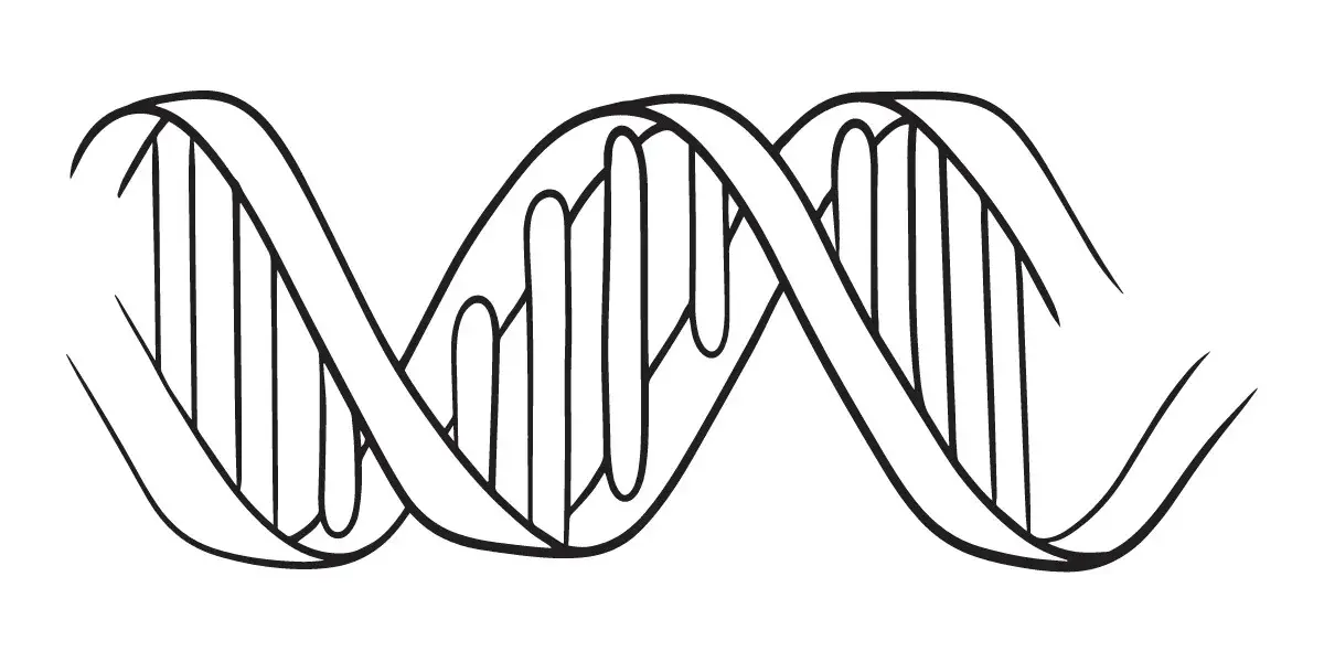 DNA - Imagem e Semelhança de Deus